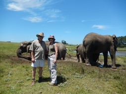 We're considering keeping elephants next year!