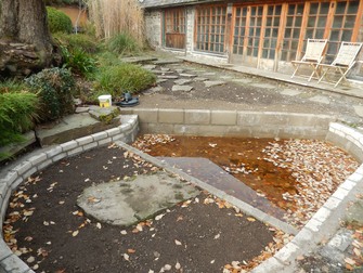 New pond layout filled with fresh fallen leaves!